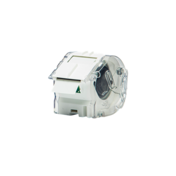 Brother Full colour continuous label roll CZ-1004  Label tape, 5 m, 2.5 wide cm
